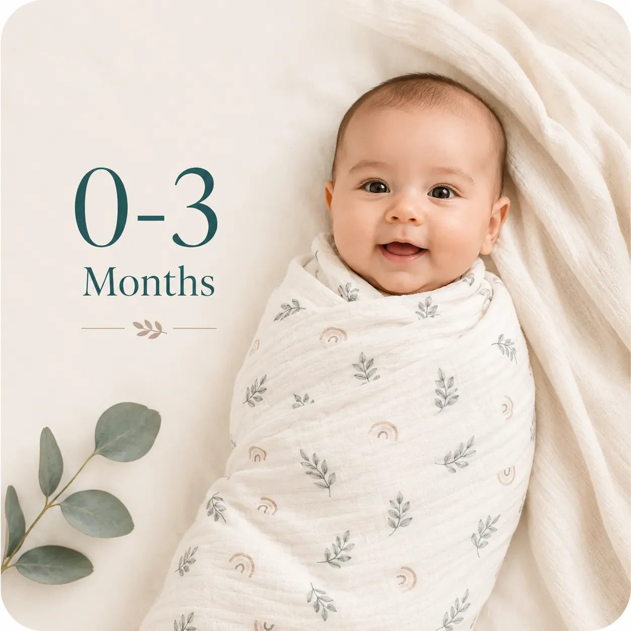 0-3 Months